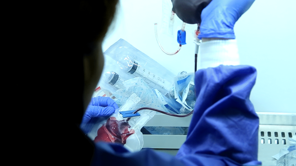 Screenshot 2025-10-29 124057