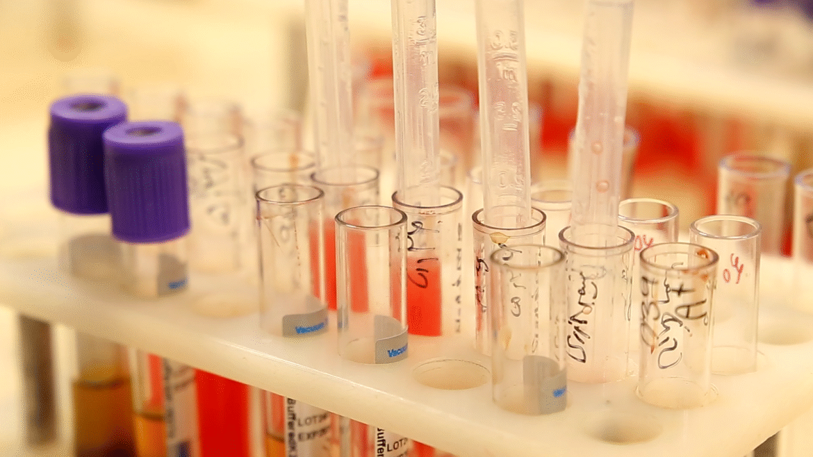 Screenshot 2025-10-29 124538