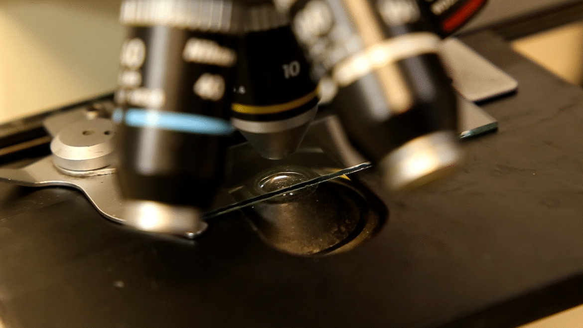 Screenshot 2025-10-29 124551